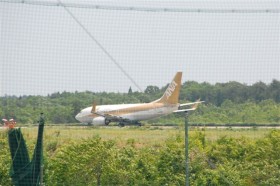 ANAゴールド塗装の737＠日本航空専門学校